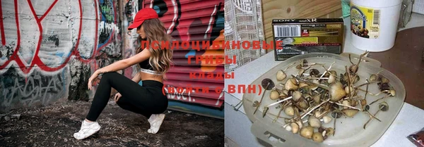 таблы Армянск