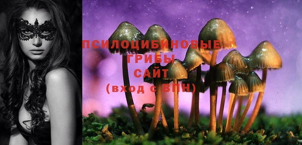 таблы Армянск