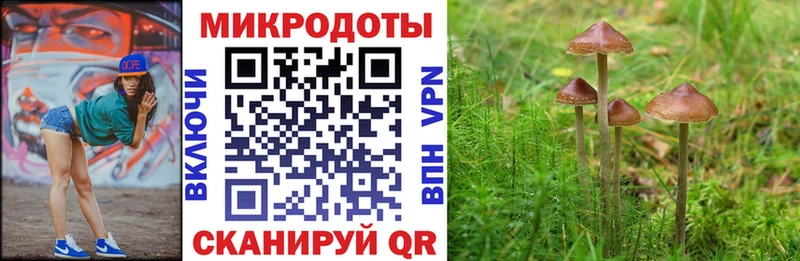 Галлюциногенные грибы Magic Shrooms  где продают наркотики  Барыш 